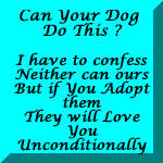 Can Your Dog Do This
