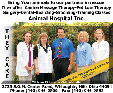 Animal Hospital Inc - Our Preferred Veterinary Hospital