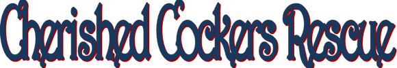 LOGO CCR