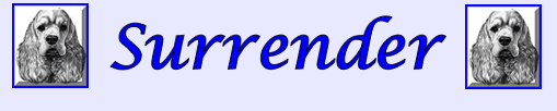 Surrender