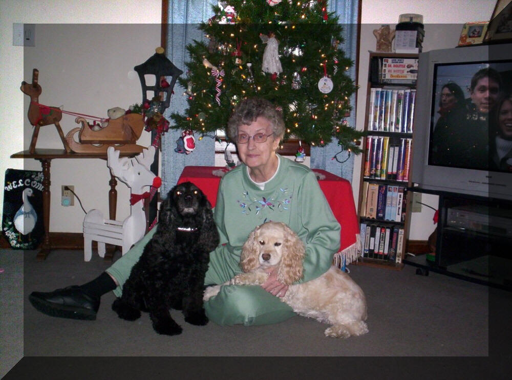 Ginny & Dogs