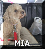 Mia 7yr