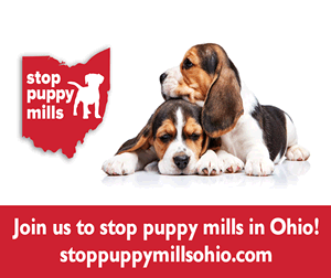 Puppy Mills